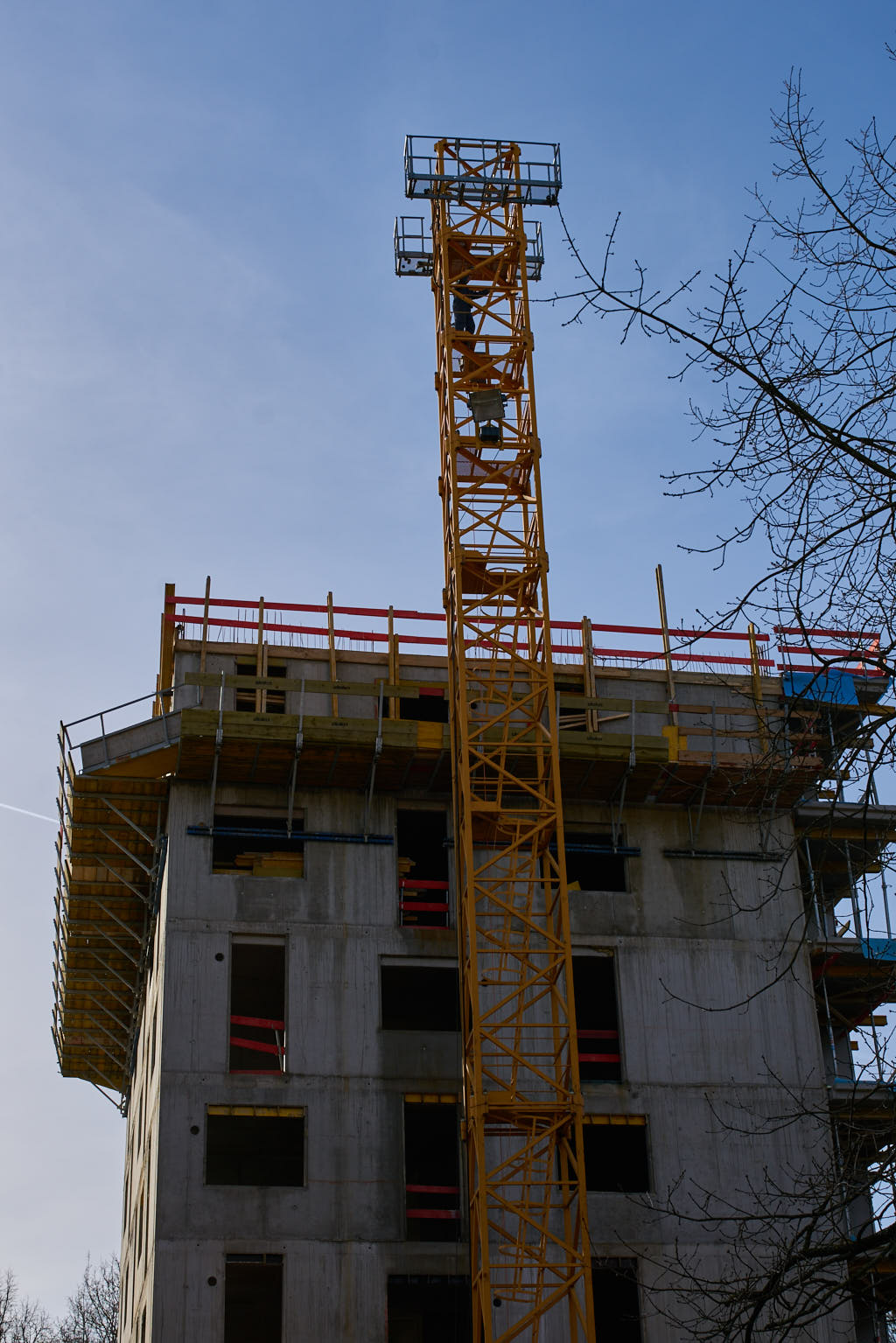 06.02.2016 - Bachquartier - Das Grüne München in Neuperlach