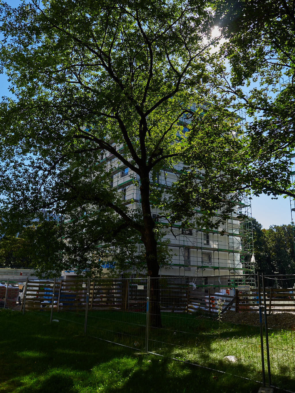 08.09.2016 - Bachquartier - Das Grüne München in Neuperlach