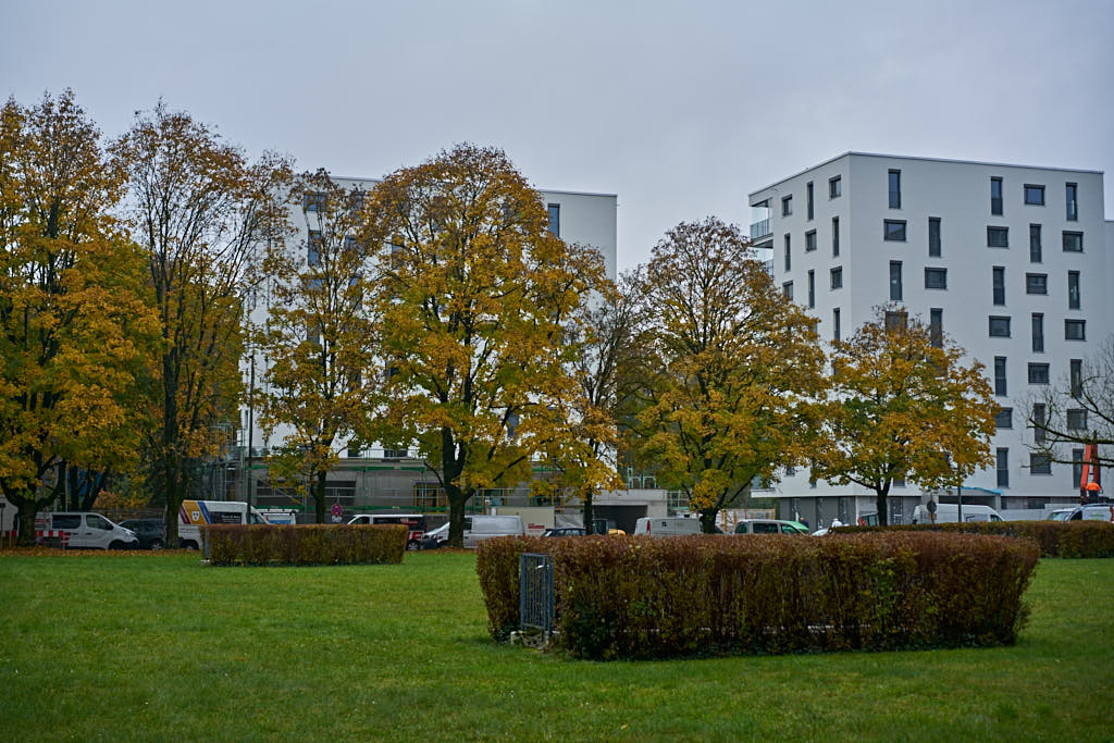 26.10.2016 - Bachquartier - Das Grüne München in Neuperlach