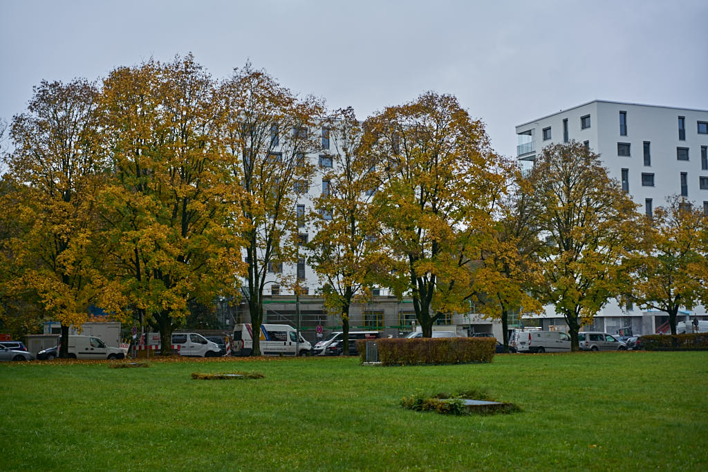 26.10.2016 - Bachquartier - Das Grüne München in Neuperlach
