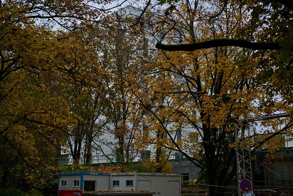 26.10.2016 - Bachquartier - Das Grüne München in Neuperlach