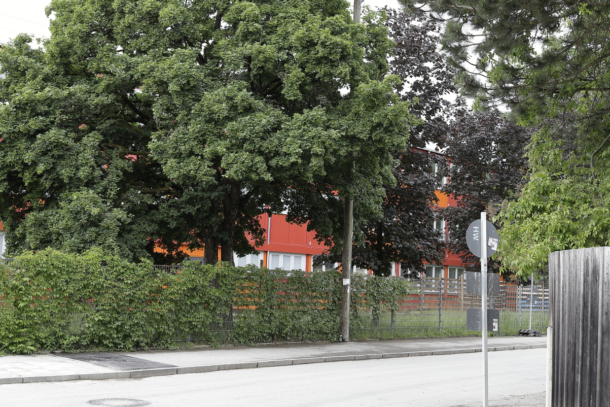 25.05.2024 - Sportplatz Böglwiese