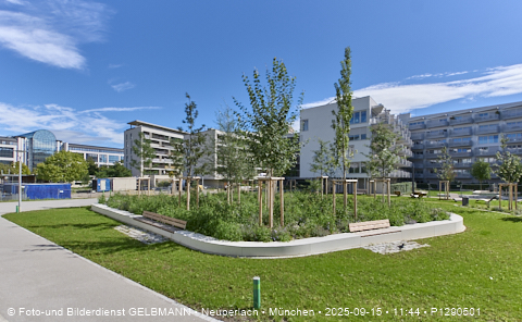 15.09.2025 - Neuperland in unserer »Neuen Mitte«