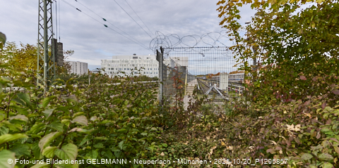 20.10.2025 - REVO, Siemens, Carl-Wery, S-Bahn, Neuperlach-Süd