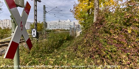 20.10.2025 - REVO, Siemens, Carl-Wery, S-Bahn, Neuperlach-Süd