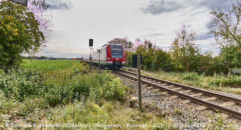 20.10.2025 - REVO, Siemens, Carl-Wery, S-Bahn, Neuperlach-Süd