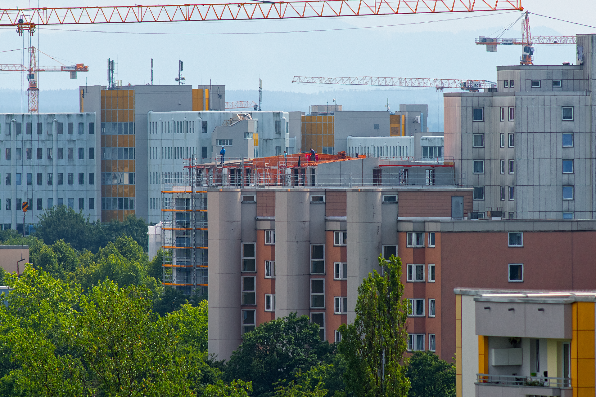 2017-07-14-blickkontakt