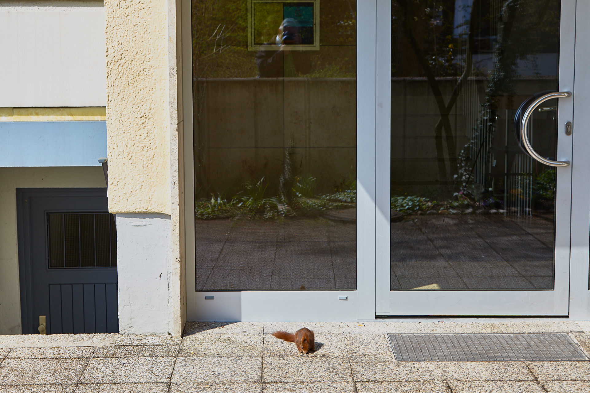 Plettzentrum-Abrissarbeiten am 17.04.2012