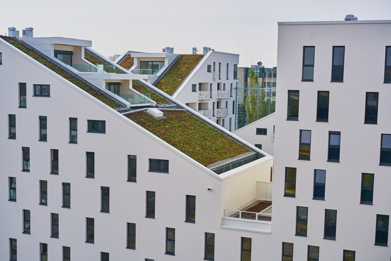 Plettzentrum 21.08.2015