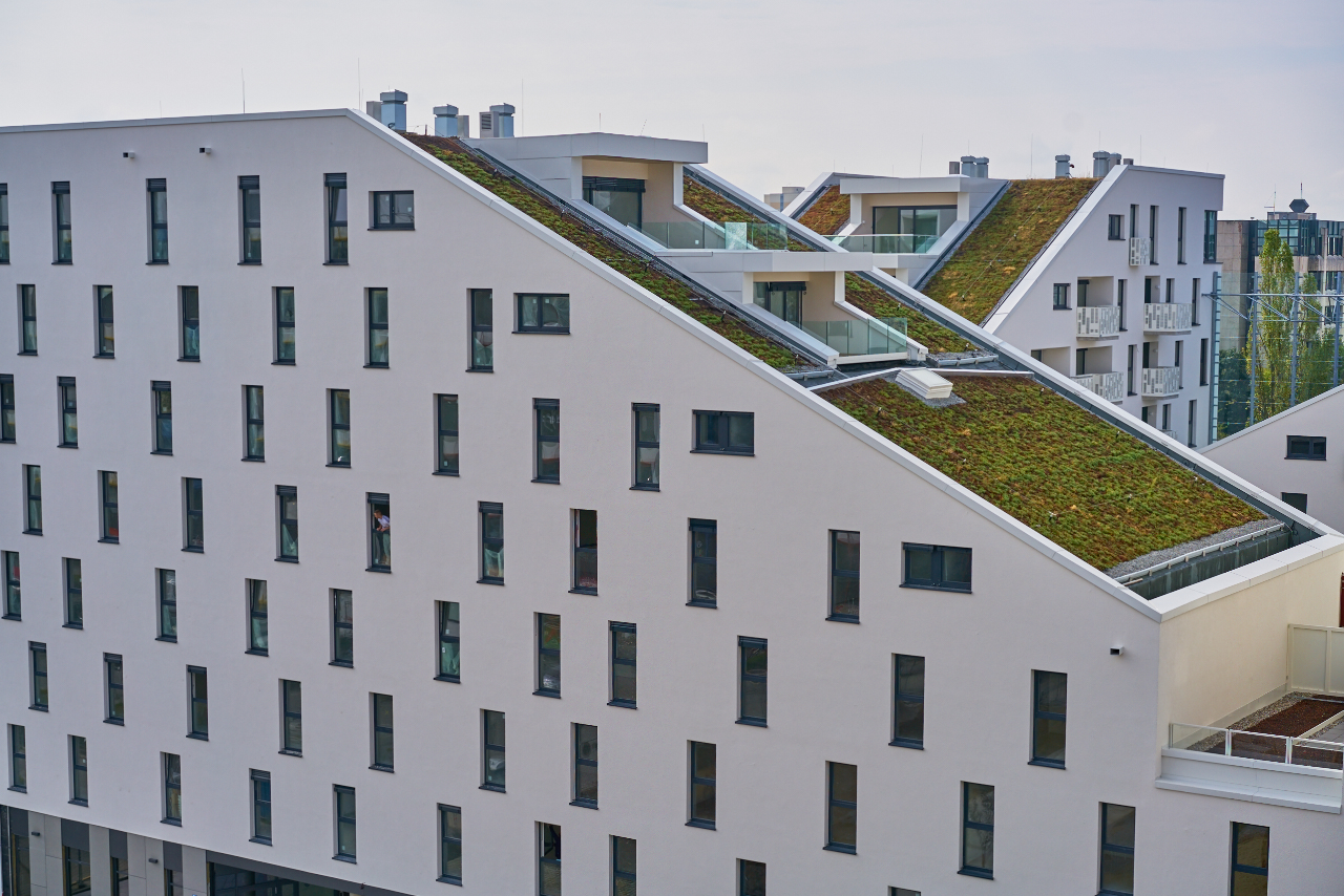 Plettzentrum 21.08.2015