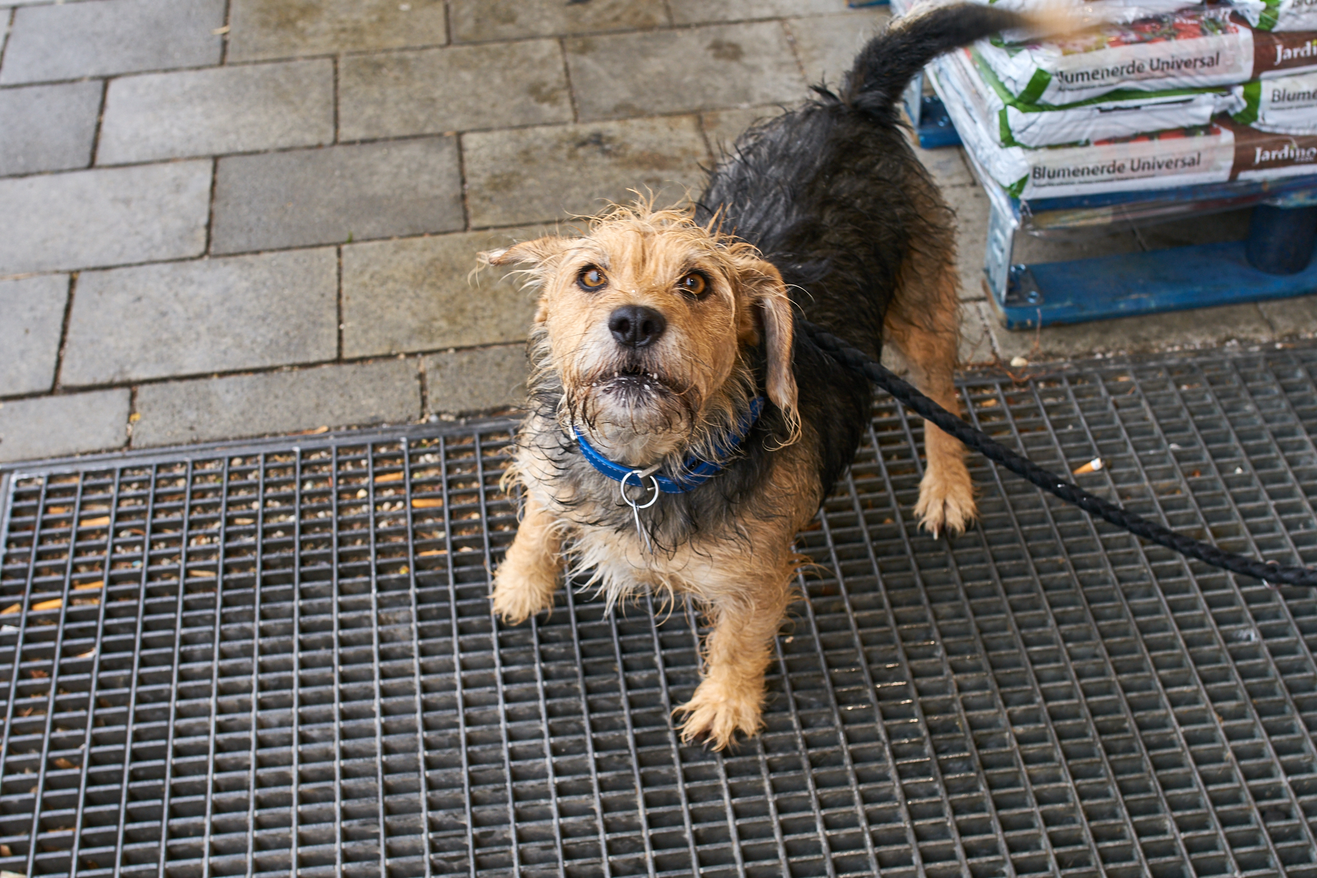 Neuperlach-maikaefersiedlung am 15.03.2016