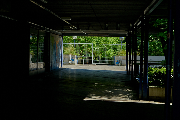 19.06.2019 -  Quiddezentrum, jetzt soll es schnell gehen. 