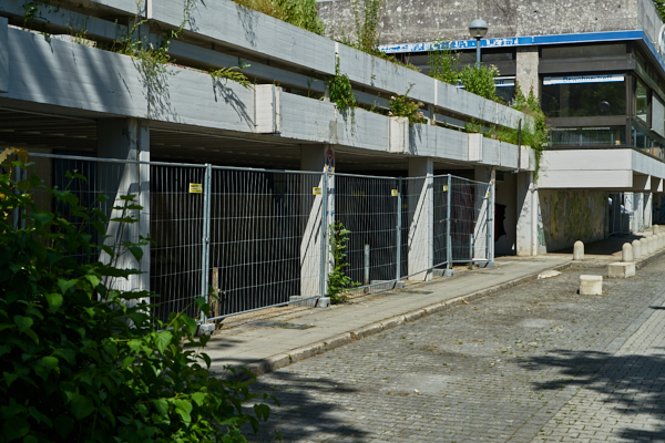 19.06.2019 -  Quiddezentrum, jetzt soll es schnell gehen. 