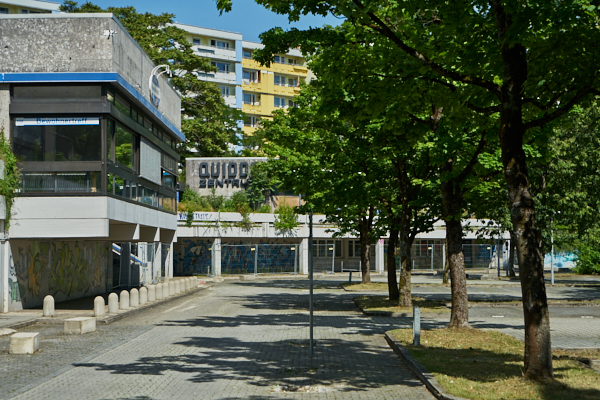 19.06.2019 -  Quiddezentrum, jetzt soll es schnell gehen. 