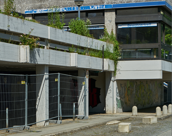 19.06.2019 -  Quiddezentrum, jetzt soll es schnell gehen. 