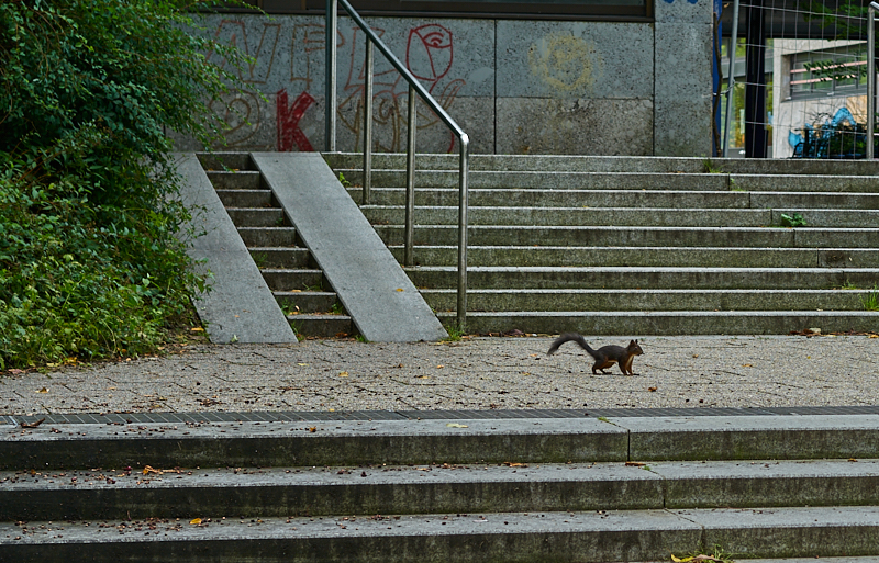 22.07.2019 - Das Quiddezentrum wartet auf den Abriss