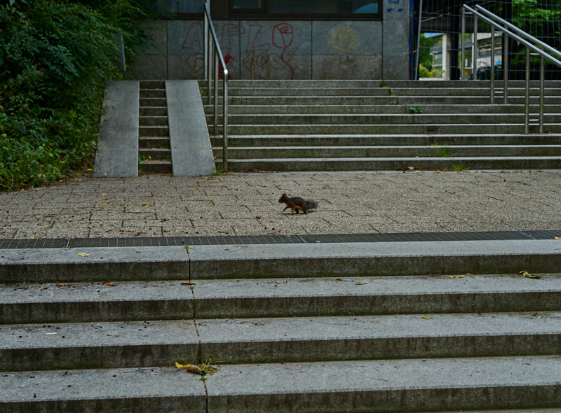 22.07.2019 - Das Quiddezentrum wartet auf den Abriss