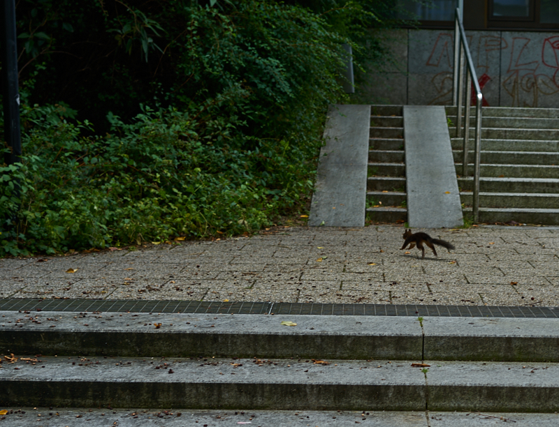 22.07.2019 - Das Quiddezentrum wartet auf den Abriss