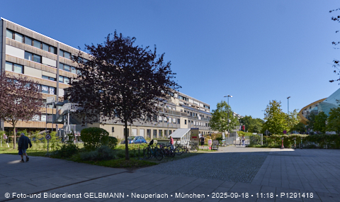 Plettstrasse_Quiddezentrum_in_Neupelrach_das_neue_Biotop_P1291418.jpg